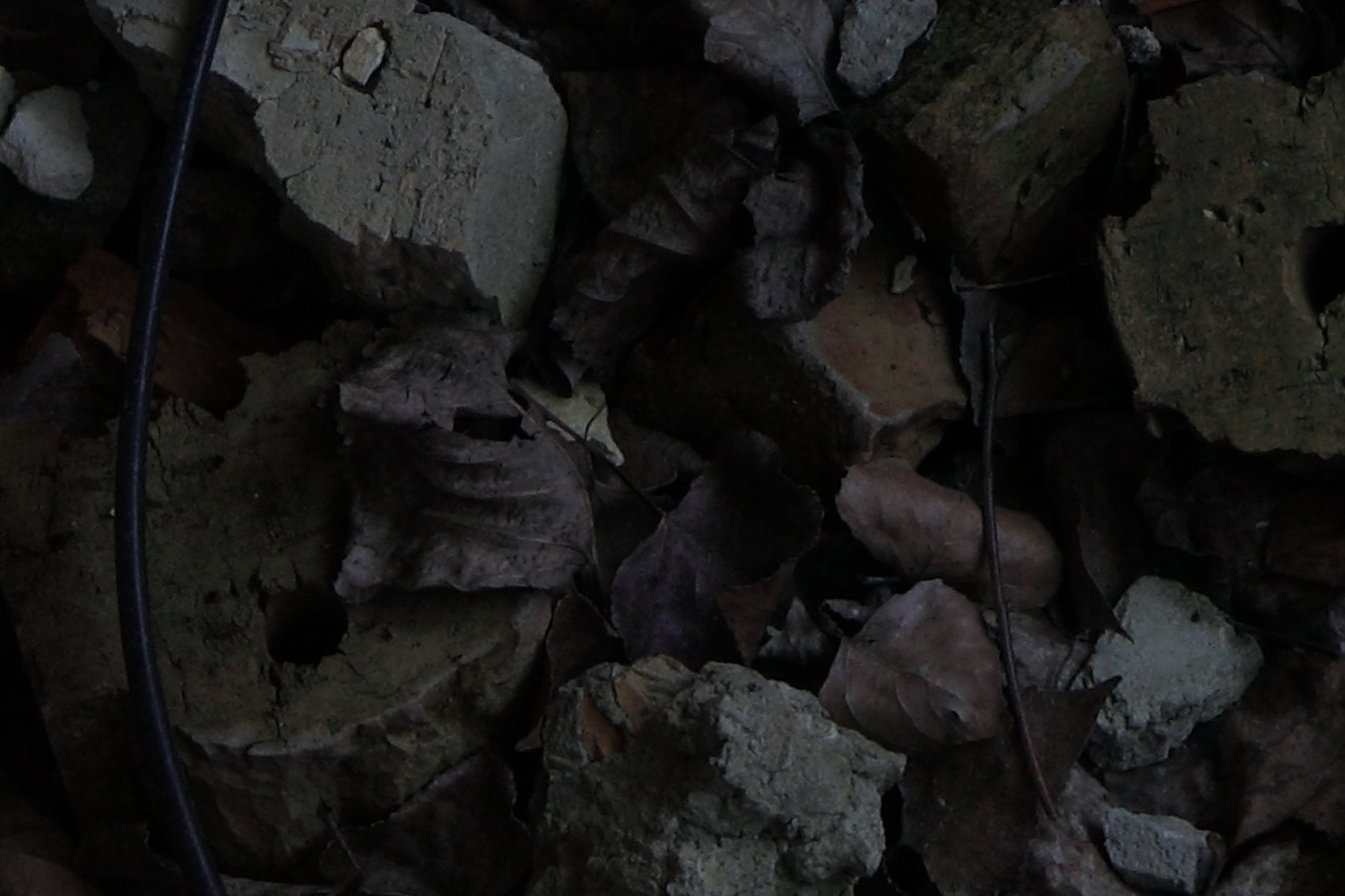 Fragment of #16. Ruined kindergarten 1, showing image detail.