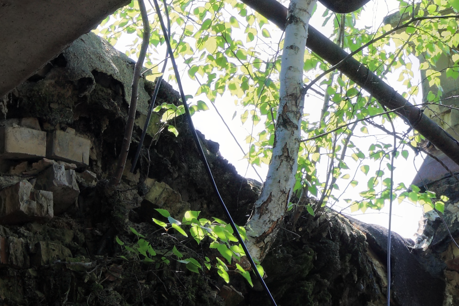 Fragment of #16. Ruined kindergarten 1, showing image detail.