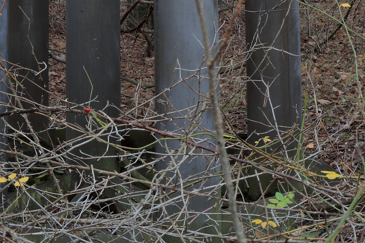 Fragment of #25. Pripyat monument 1, showing image detail.