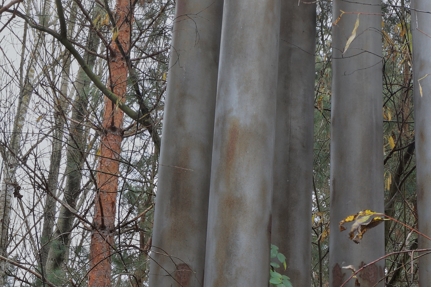 Fragment of #25. Pripyat monument 1, showing image detail.