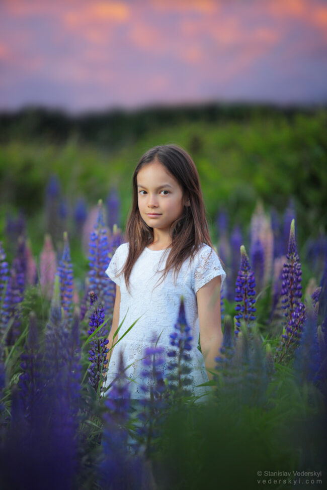 gilr in field with lupins at sunset time