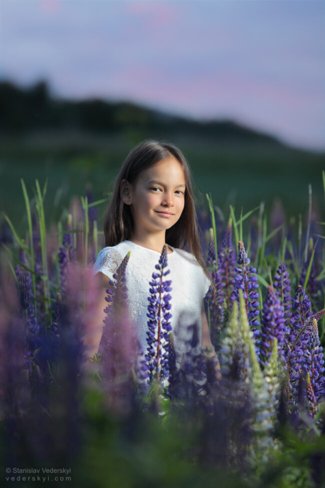 gilr in field with lupins at sunset time