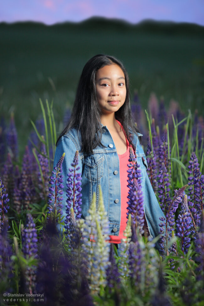 gilr in field with lupins at sunset time